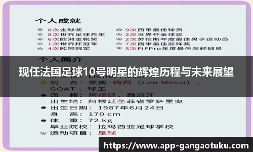 现任法国足球10号明星的辉煌历程与未来展望