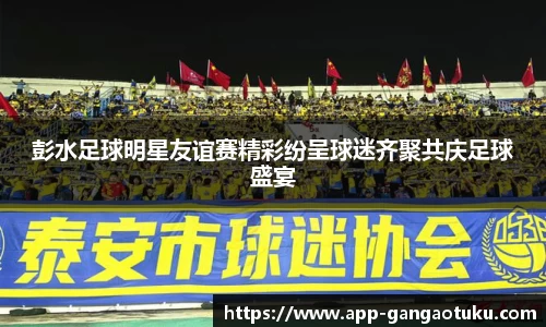 彭水足球明星友谊赛精彩纷呈球迷齐聚共庆足球盛宴